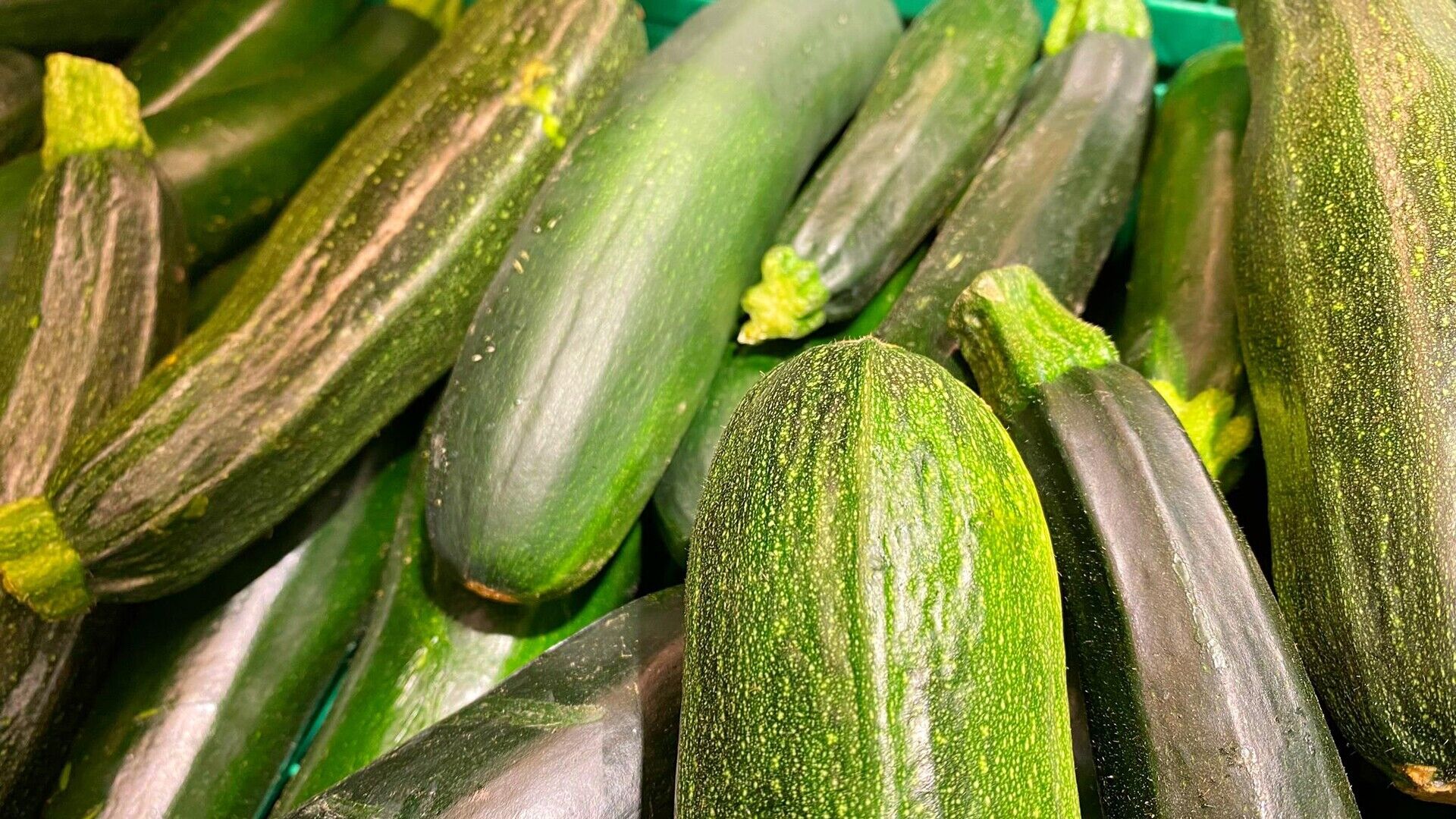 Zucchini | Kg